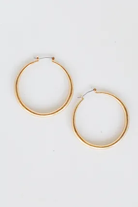 FINAL SALE - Dani Gold Hoop Earrings